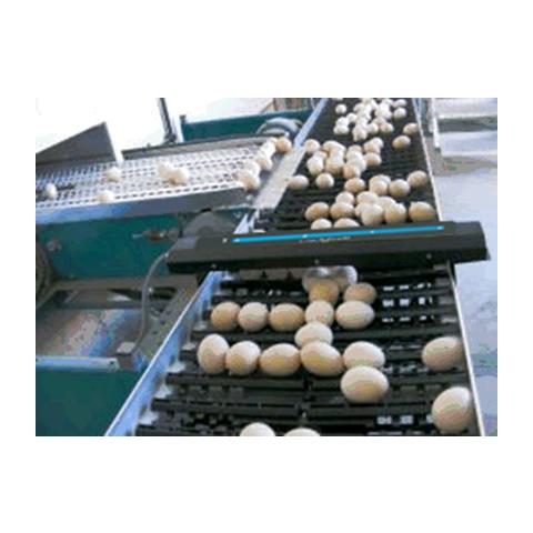 雞蛋計數(shù)器